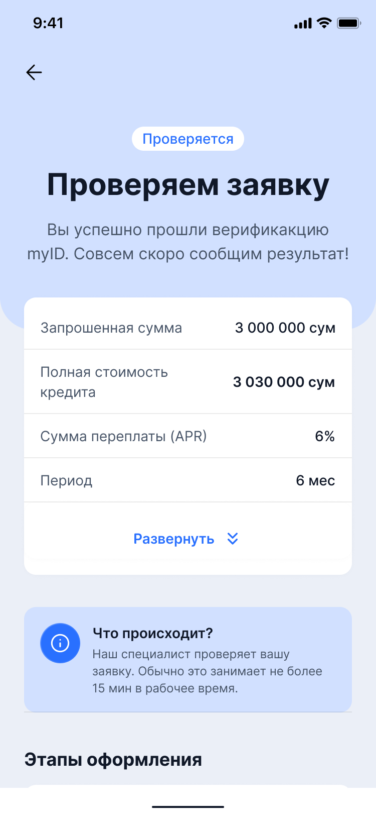 Экран проверки заявки с этапами
